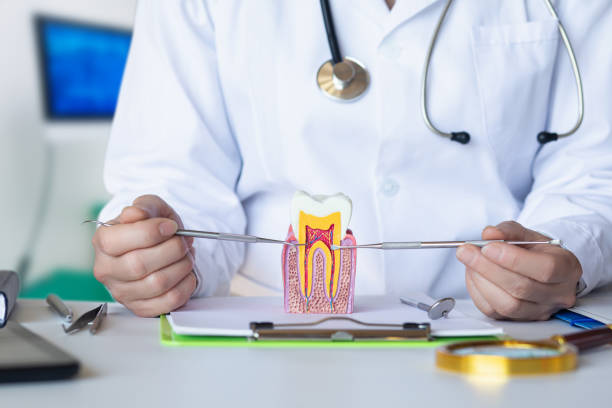 Best Emergency Broken Tooth Repair in Pine Level, NC